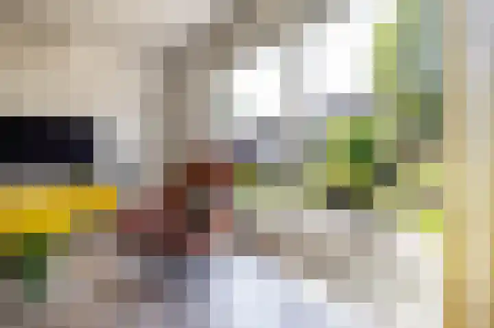 Stelmaker 16 Peize thumbnail 14