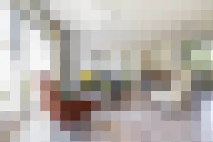 Stelmaker 16 Peize thumbnail 15