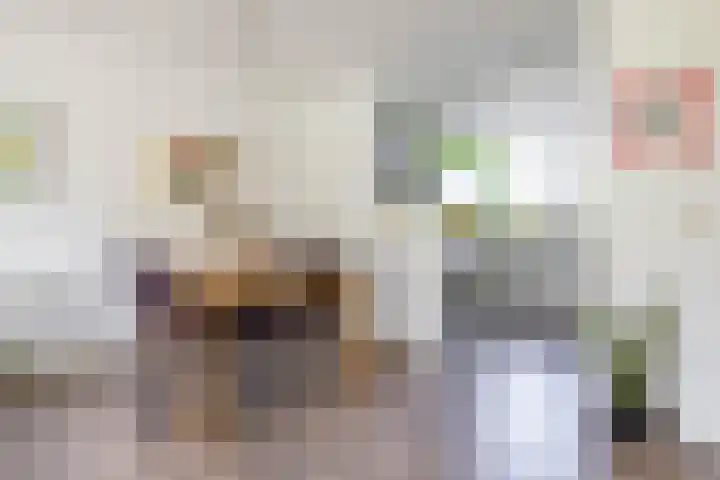 Stelmaker 16 Peize thumbnail 16