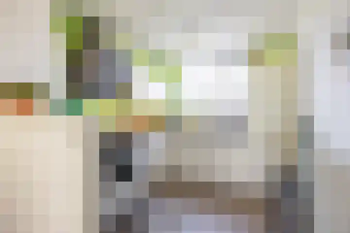 Stelmaker 16 Peize thumbnail 17