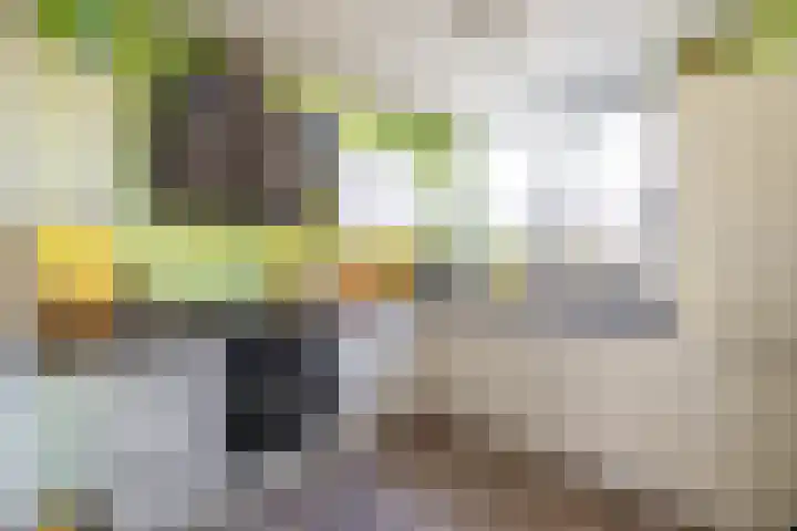 Stelmaker 16 Peize thumbnail 18