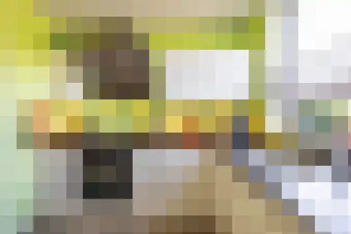 Stelmaker 16 Peize thumbnail 19