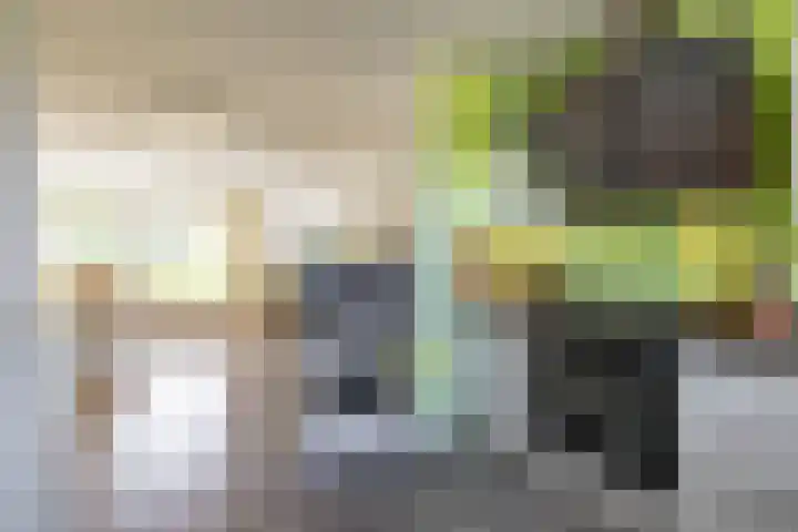 Stelmaker 16 Peize thumbnail 20