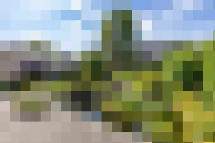 Stelmaker 16 Peize thumbnail 22