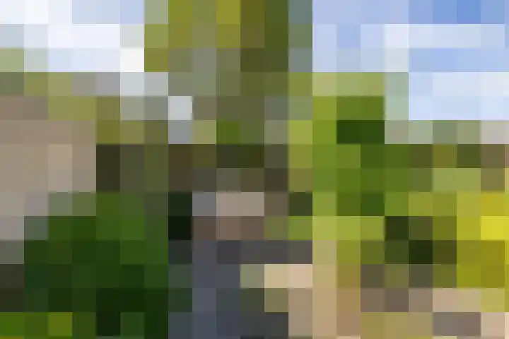 Stelmaker 16 Peize thumbnail 23
