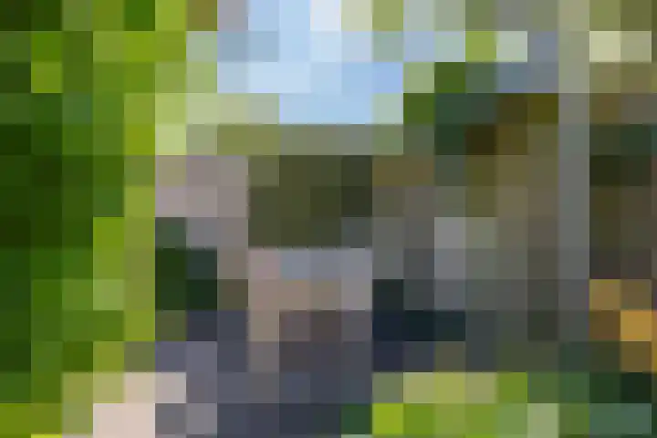 Stelmaker 16 Peize thumbnail 24