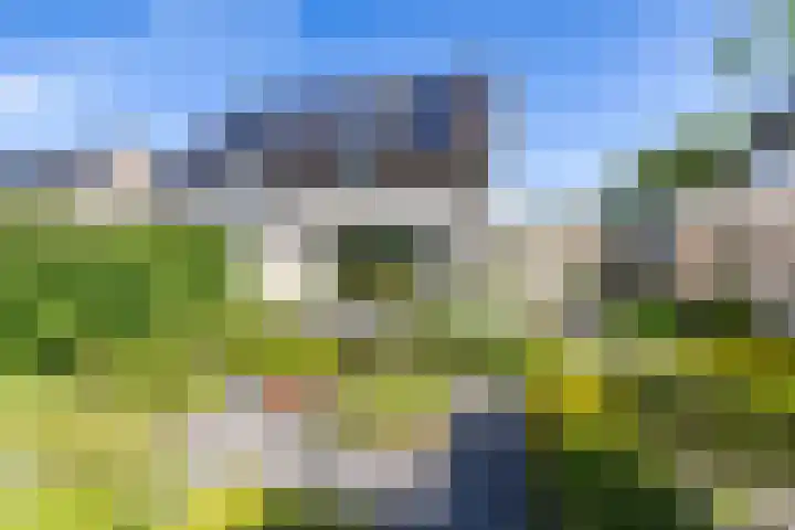 Stelmaker 16 Peize thumbnail 25