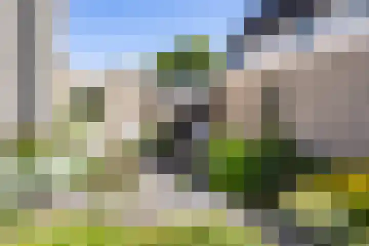 Stelmaker 16 Peize thumbnail 26