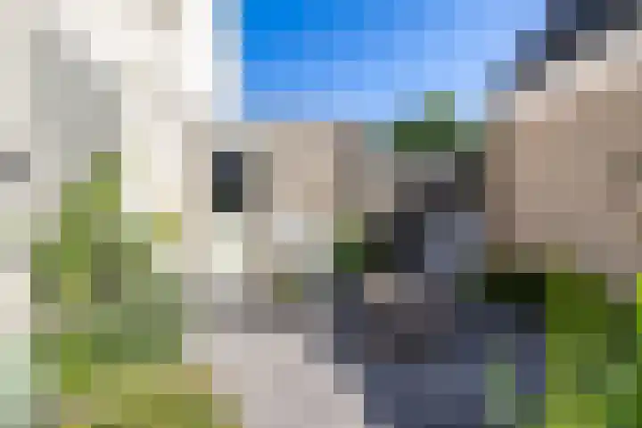 Stelmaker 16 Peize thumbnail 27