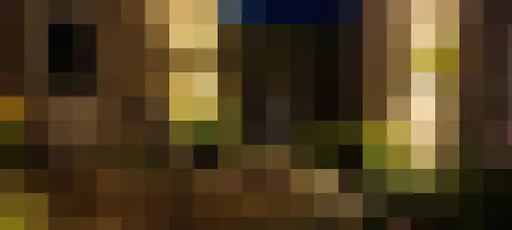 Stelmaker 16 Peize thumbnail 31