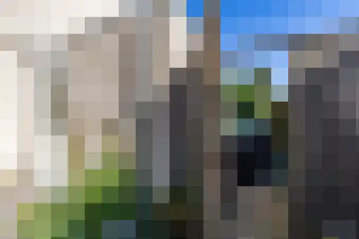 Stelmaker 16 Peize thumbnail 32