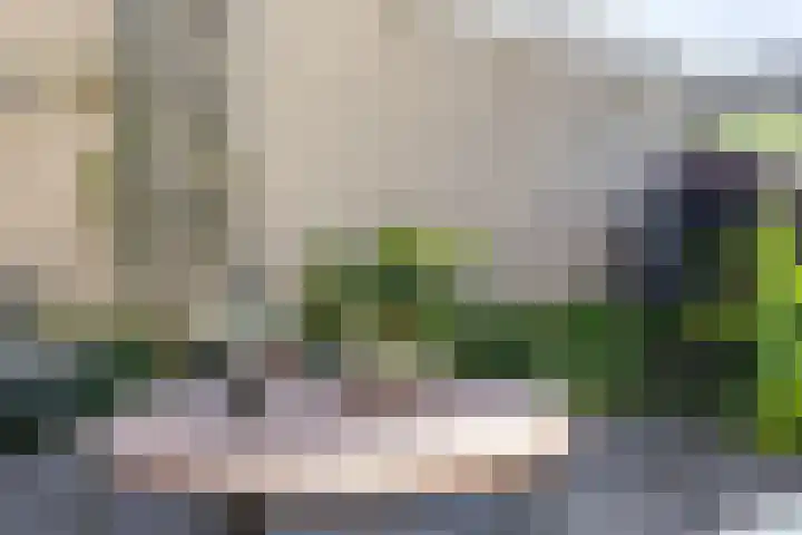 Stelmaker 16 Peize thumbnail 33
