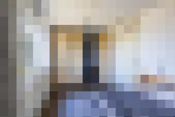 Stelmaker 16 Peize thumbnail 37