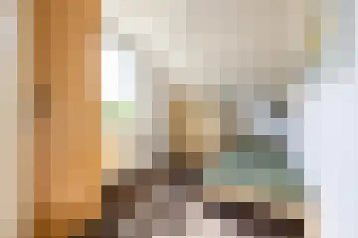 Stelmaker 16 Peize thumbnail 39