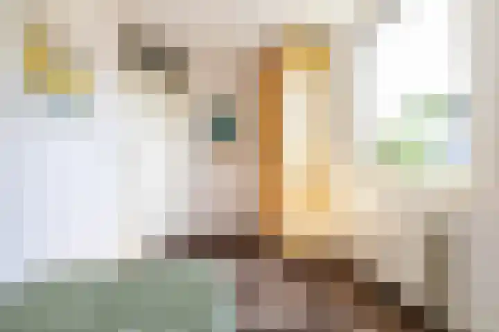Stelmaker 16 Peize thumbnail 40
