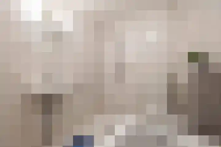 Stelmaker 16 Peize thumbnail 43