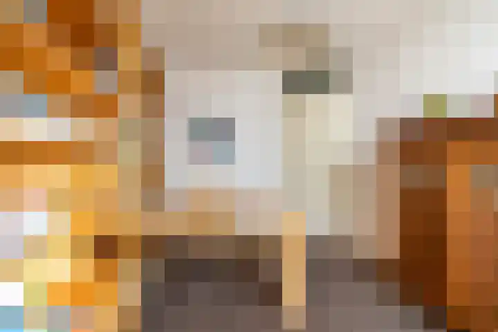 Stelmaker 16 Peize thumbnail 46