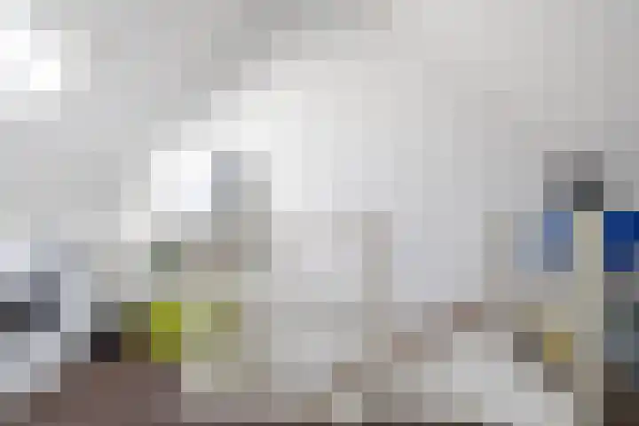 Stelmaker 16 Peize thumbnail 47