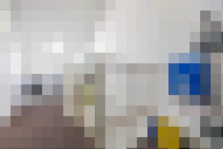 Stelmaker 16 Peize thumbnail 49