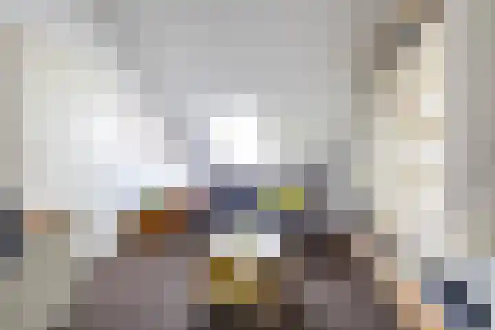 Stelmaker 16 Peize thumbnail 52