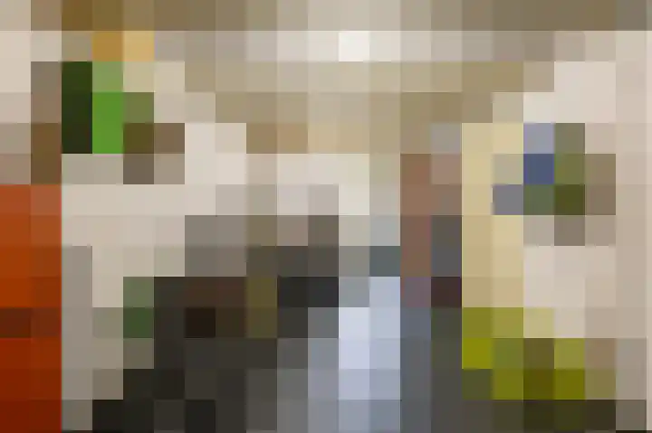 Stelmaker 16 Peize thumbnail 54