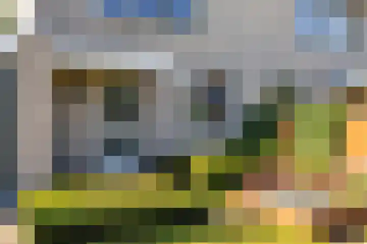 Stelmaker 16 Peize thumbnail 7