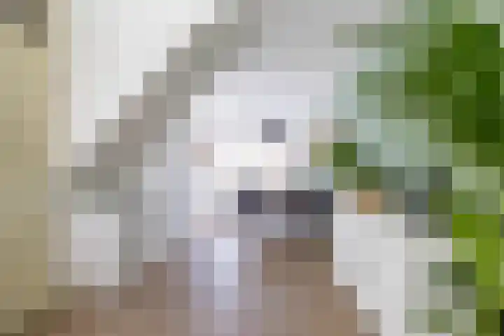 Stelmaker 21 Peize thumbnail 10