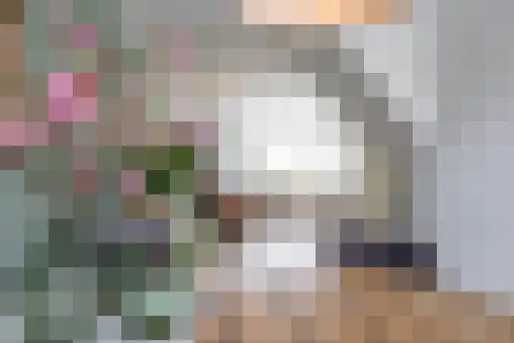 Stelmaker 21 Peize thumbnail 12
