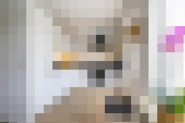 Stelmaker 21 Peize thumbnail 13