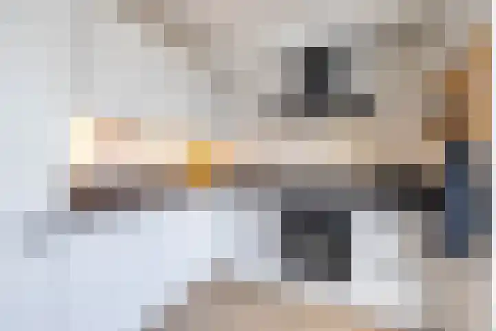 Stelmaker 21 Peize thumbnail 14