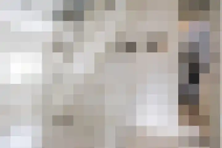 Stelmaker 21 Peize thumbnail 16