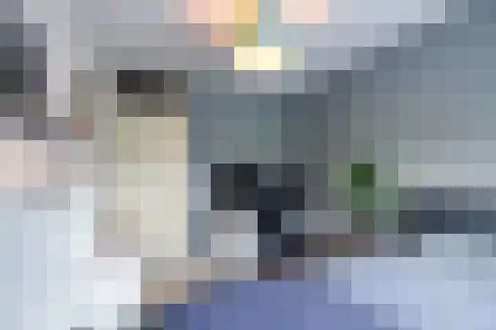 Stelmaker 21 Peize thumbnail 18