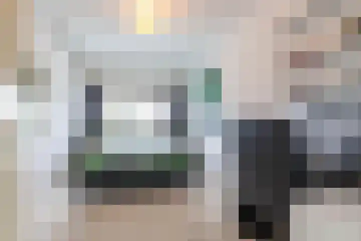 Stelmaker 21 Peize thumbnail 19