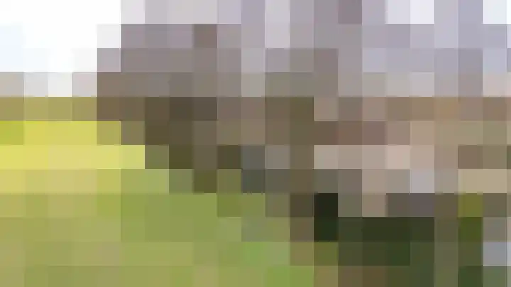 Stelmaker 21 Peize foto 2