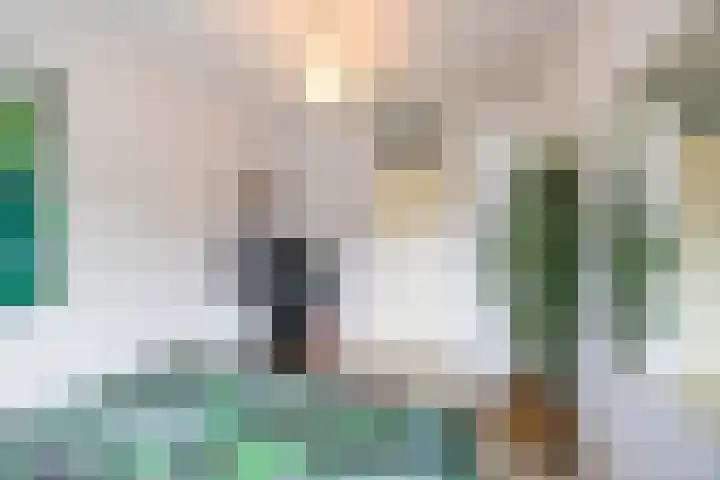Stelmaker 21 Peize thumbnail 20