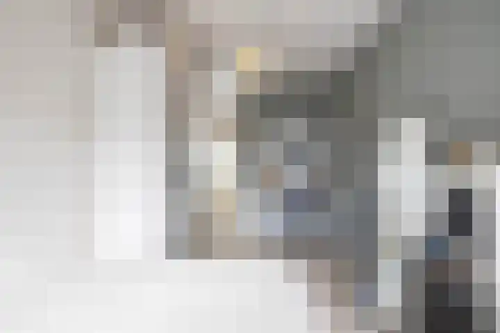 Stelmaker 21 Peize thumbnail 22