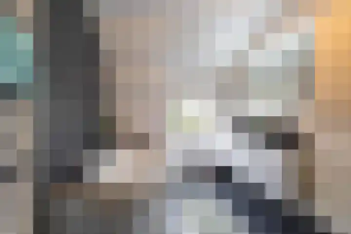 Stelmaker 21 Peize thumbnail 23
