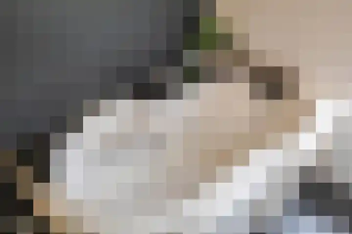 Stelmaker 21 Peize thumbnail 25