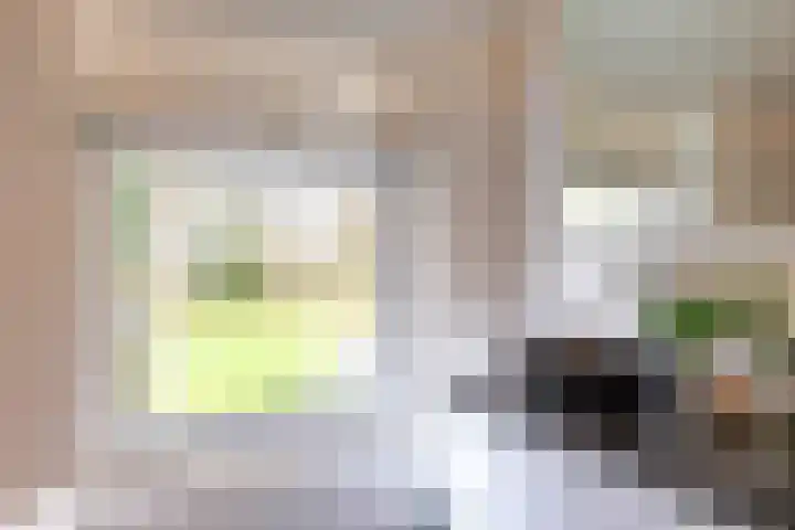 Stelmaker 21 Peize thumbnail 26