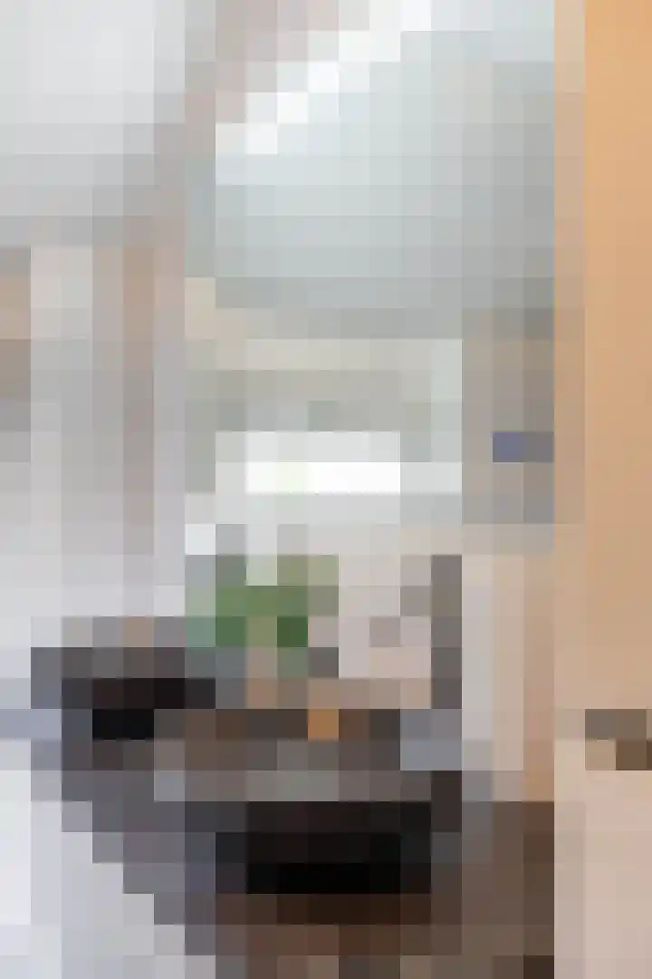 Stelmaker 21 Peize thumbnail 27