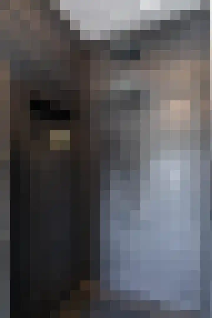 Stelmaker 21 Peize thumbnail 28