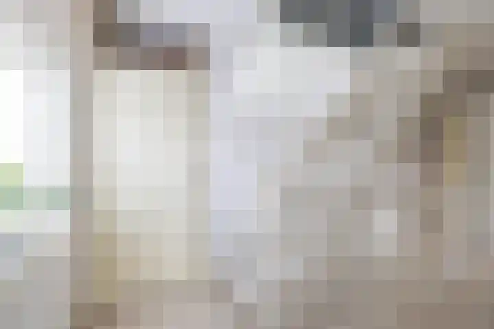 Stelmaker 21 Peize thumbnail 29