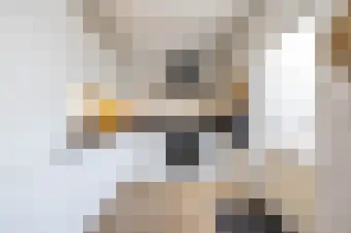 Stelmaker 21 Peize foto 3