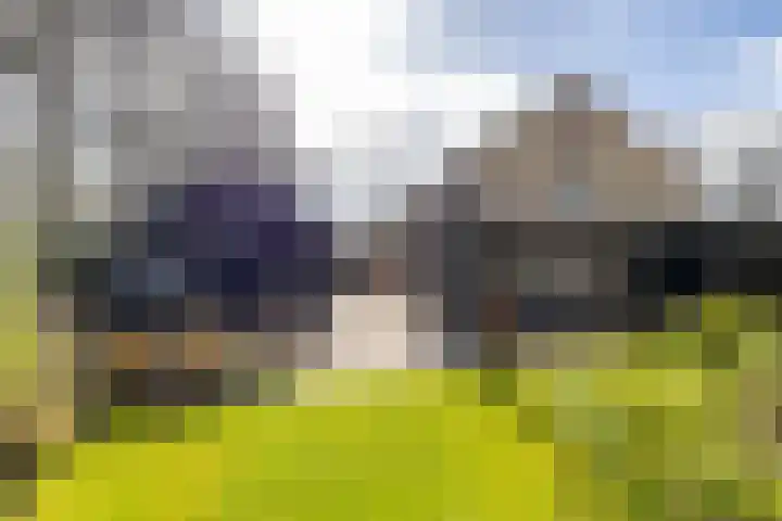 Stelmaker 21 Peize thumbnail 32