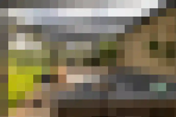 Stelmaker 21 Peize thumbnail 33