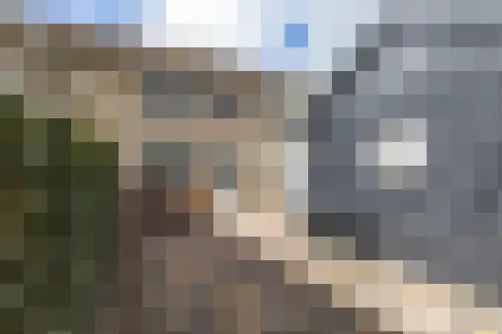 Stelmaker 21 Peize thumbnail 34