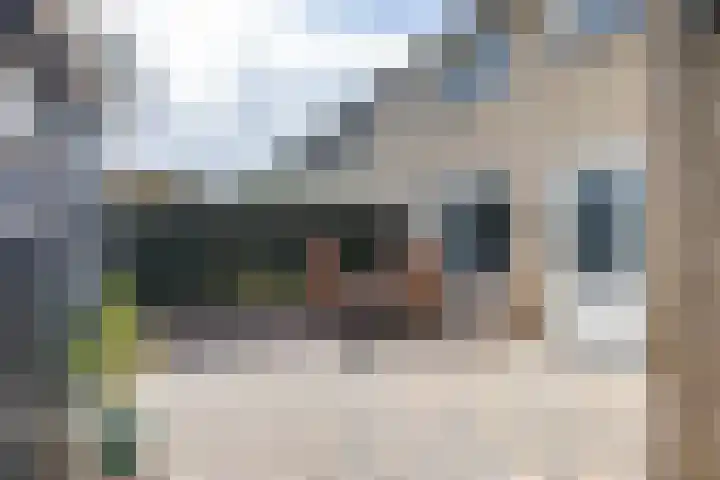 Stelmaker 21 Peize thumbnail 35