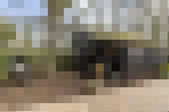 Stelmaker 21 Peize thumbnail 37