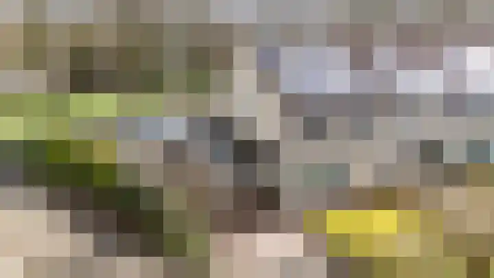 Stelmaker 21 Peize thumbnail 40