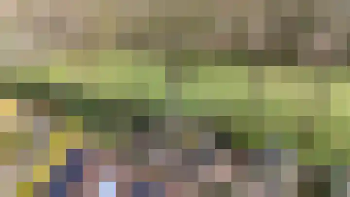 Stelmaker 21 Peize thumbnail 42